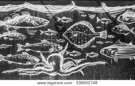 Chalk Drawn Picture On Blackboard Depicting Octopus And Different Kinds Of Fishes Swimming Under Wat