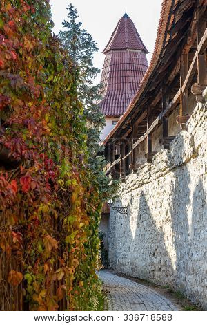 Autumn Landscape With Multicolored Trees And City Wall With Tower In Berching, Bavaria On A Sunny Da