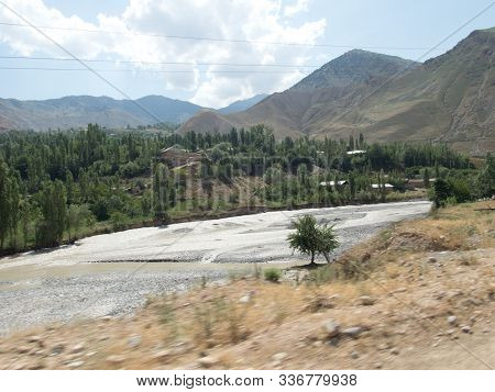 Wild Wiver In The Mountains With Too Much Water