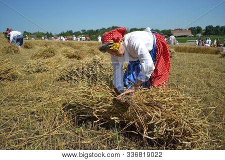Gornji Breg, Serbia, July 17, 2011. Harvest The Old-fashioned Way On The Field In Gornji Breg, Backa