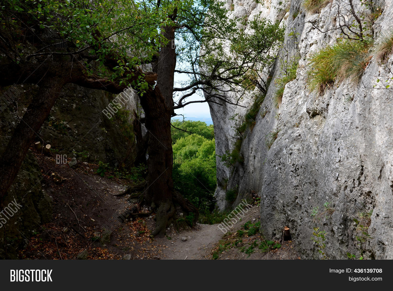 Karst Areas Where All Image & Photo (Free Trial) | Bigstock