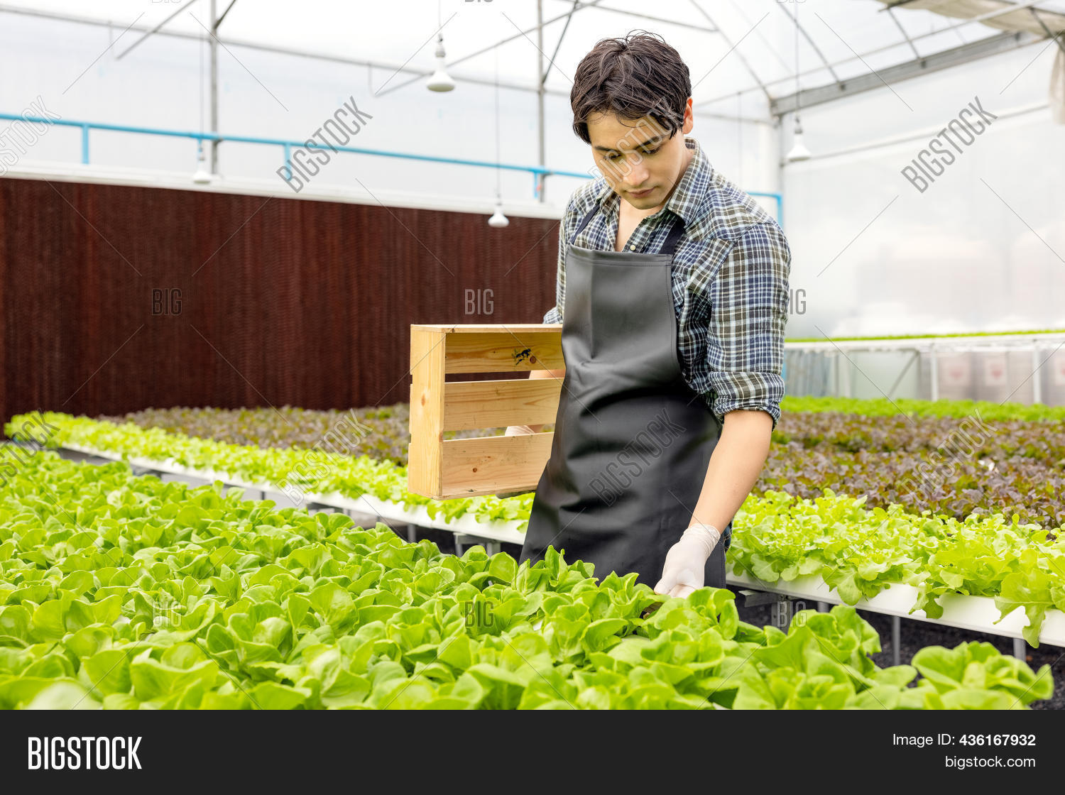 Bild Und Foto Zu Farmer Kostenlose Probeversion Bigstock bild-und-foto-zu-farmer-kostenlose-probeversion-bigstock