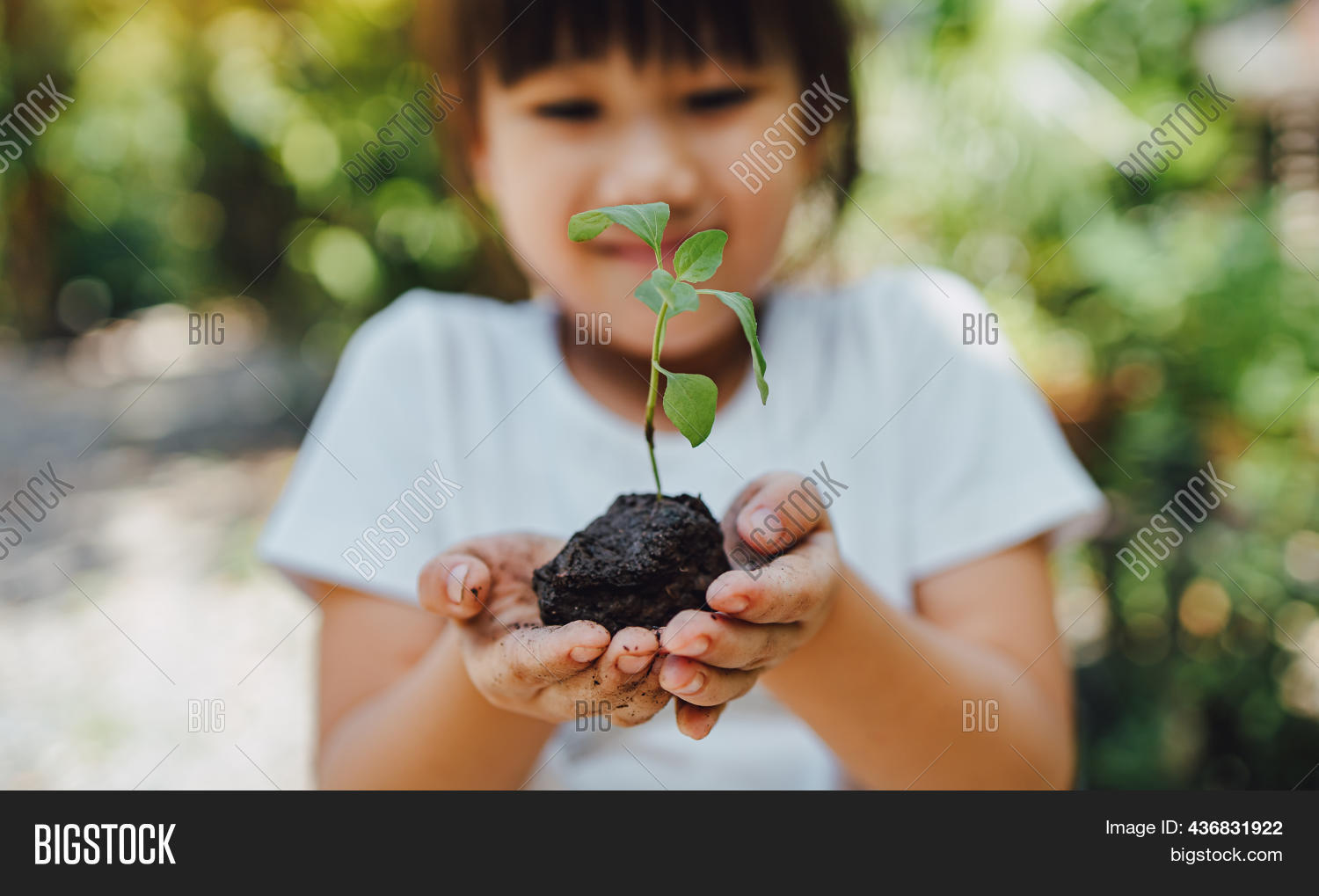 Kid Planting Tree Help Image & Photo (Free Trial) Bigstock