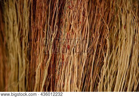 Texture Of Broom From Stems Of Broom Sorghum With Copy Space. Abstract Natural Background.