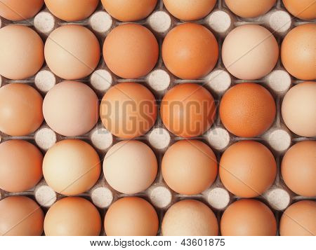Eggs