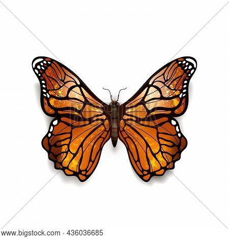 Beautiful Colorful Detailed Realistic Butterfly, Aglais Urticae On White