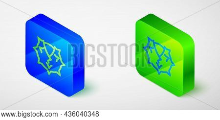 Isometric Line Chestnut Icon Isolated On Grey Background. Barbed And Strong Chestnut. Blue And Green