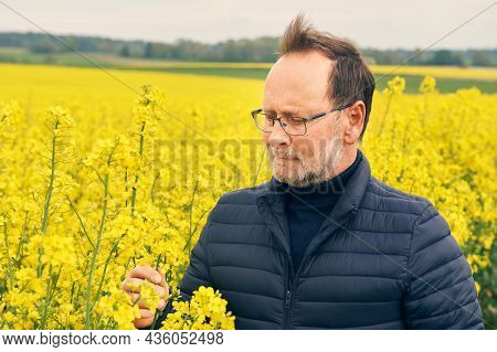 Outdoor Portrait Of Middle Age Farmer Looking At Colza Flowers