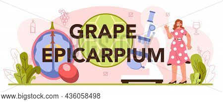 Grape Epicarpium Typographic Header. Wine Production. Grape Wine
