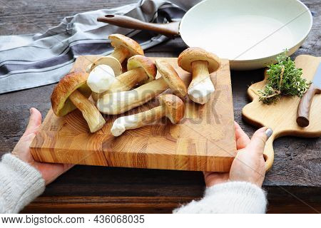 Woman Holding Fresh Forest Mushrooms On A Dark Background, Autumn Cep Mushrooms. Mushrooms Picking A