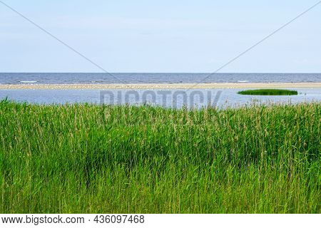 Nature Reserve Randu Meadows, Located On The Eastern Shore Of The Gulf Of Riga In The Baltic Sea
