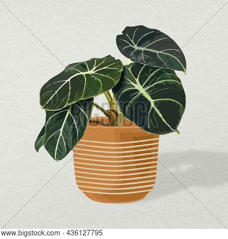 Indoor pot plant illustration home  decor