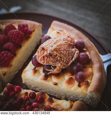 Pacman Frog On Homemade Cheesecake Pie With Berries On Wooden Background