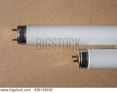 Fluorescent Neon Tube