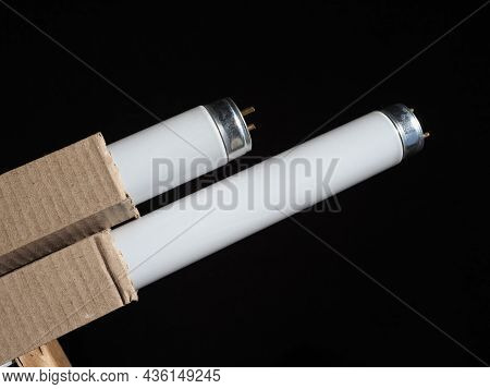Fluorescent Neon Tube