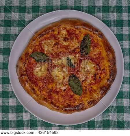 Margherita Pizza Mozzarella Basil Oil White Plate