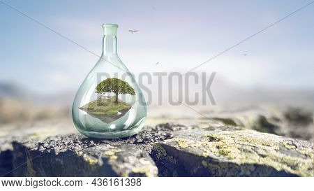 Tree growing inside clear glass bottle . Mixed media