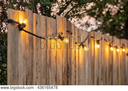 Cosy Light Bulbs Lined Up In A Row, Against A Wooden Garden Fence. There Are Some Green Bushes And G