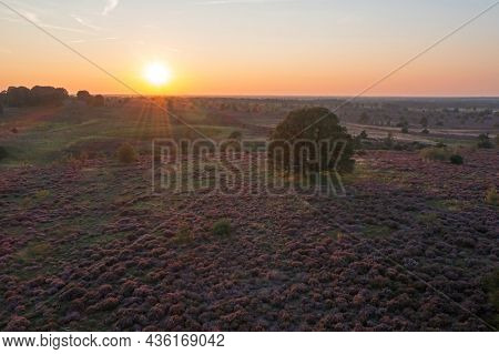 Aerial from a beautiful sunset in National Park De Hoge Veluwe in the Netherlands