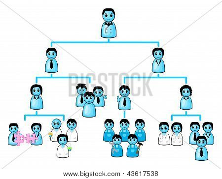 Organizační diagram společnosti