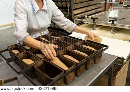 The Baker Fills A Baking Dish With Dough. Bread Production Stage In A Small Bakery