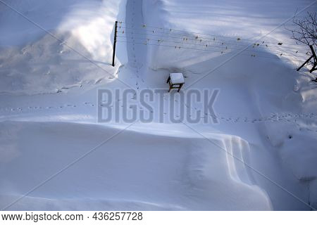 Cat Footprints In The Snow. Top View Of The Vegetable Garden In Winter.