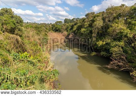 Cadeia River With Forest Around