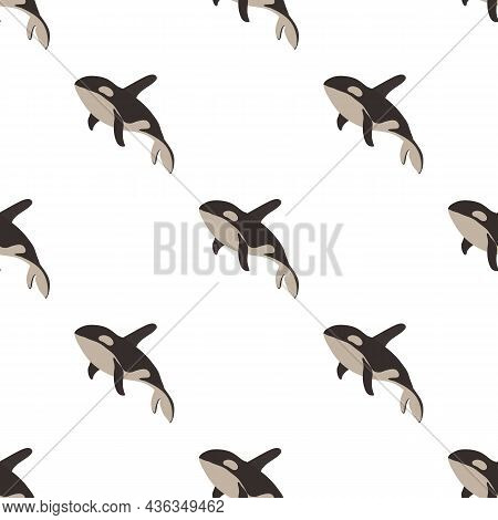 Grampus Pattern Seamless Background Texture Repeat Wallpaper Geometric Vector