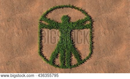 Concept conceptual green summer lawn grass symbol shape on brown soil or earth background, vitruvius man sign. A 3d illustration metaphor for architecture, renaissance, anthropology and physiology