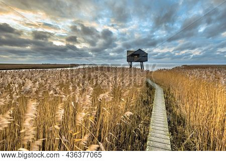 Wooden Walkway Through Salt Tidal Marsh Leading To Observatory Hide In Natura 2000 Area Dollard, Gro