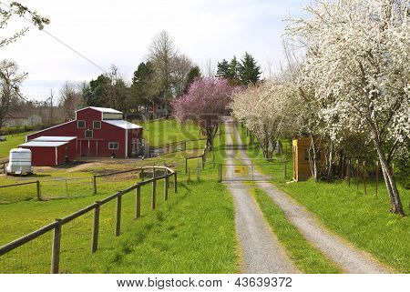 Azienda agricola di famiglia In Oregon rurale.