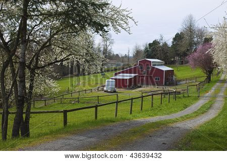 Azienda agricola di famiglia In Oregon rurale.