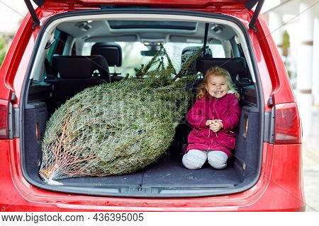 Adorable Little Toddler Girl With Christmas Tree Inside Of Family Car. Happy Healthy Baby Child In W