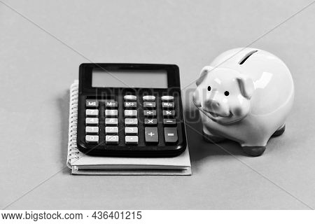 Trading Exchange. Trade Market. Finance Control. Credit Concept. Calculate Profit. Piggy Bank Pink P