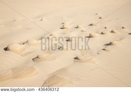 Dunes With Wind Marks