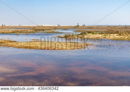 Lake With Vegetation And Sand