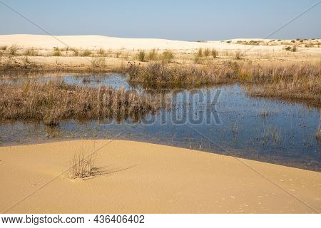 Lake, Dunes With Wind Marks And Vegetation