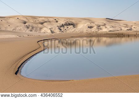Lake, Dunes With Wind Marks And Vegetation