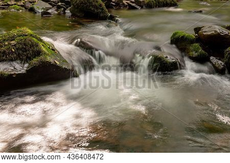 Horner Woods In Somerset