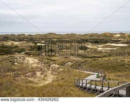 Sand Dune Landscape Overgrown With Grass On The Island Of Amrum, Germany. Siatler Or Setzer Dune In 