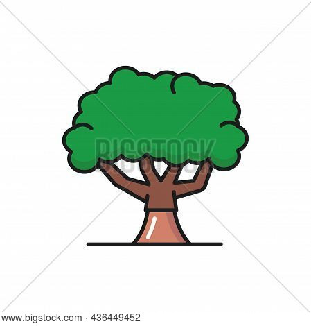 Green Olive Tree With Broad Trunk And Green Crown Of Leaves Isolated Flat Line Icon. Vector Plantati