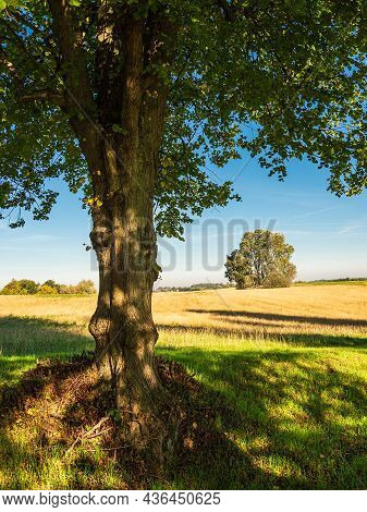 Landscape With Field And Trees Near Hohen Demzin, Germany.