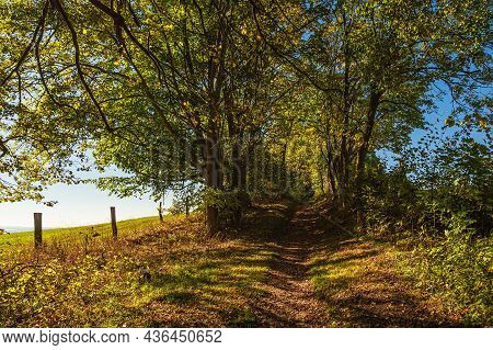 Landscape With Path And Trees Near Hohen Demzin, Germany.