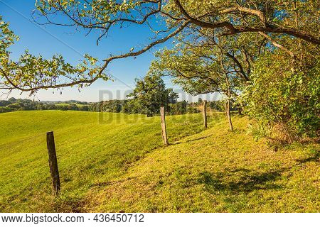Landscape With Paddock And Trees Near Hohen Demzin, Germany.