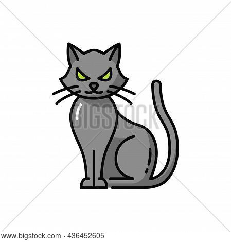 Halloween Pet Witch Black Cat Isolate Outline Icon. Vector Witch Pet, Scary Starring Kitty With Long