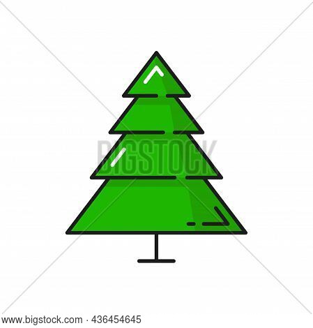 Spruce Isolated Outline Pine Fir Tree Line Art Icon. Vector Evergreen Fir-tree, Undecorated Christma