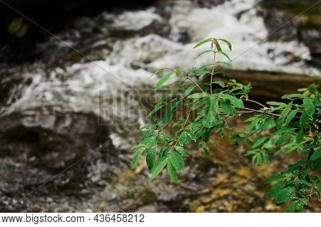 Estyube Waterfall At Lake Teletskoye In The Altai Mountains.