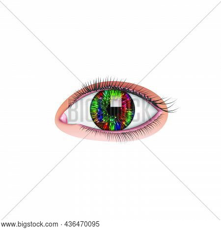 Beautiful Realistic Human Eye With Colorful Pupil And Long Eyelashes Isolated On White Background, V