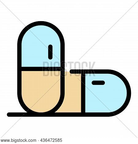 Two Capsules Icon. Outline Two Capsules Vector Icon Color Flat Isolated