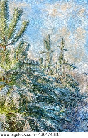 Winter Coniferous Forest. Young Pine Trees Covered With Snow. Frosty Sunny Day. Digital Watercolor P